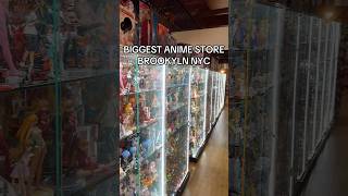 Biggest Anime Store Brooklyn animefigure animestore anime [upl. by Estes]