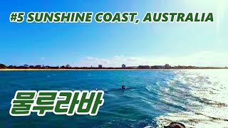 호주 선샤인코스트 물루라바  Mooloolaba Sunshine Coast Australia [upl. by Nachison]