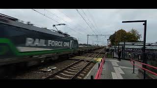 omgeleide goederen trein komt door station deurne trainspotting train railway [upl. by Giguere866]