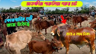 সাতক্ষীরা জেলার সর্ববৃহৎ গরুর হাট  কোরবানির গরু ২০২৪  Qurbani gorur Haat 2024  satkhira gorur hat [upl. by Nae]