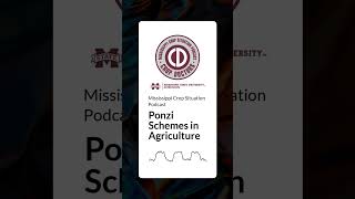 Mississippi Crop Situation Podcast  Ponzi Schemes in Agriculture [upl. by Einna]