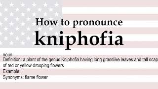 How to pronounce kniphofia  meaning [upl. by Idalia643]