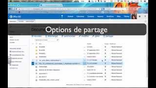 Lessentiel de OneDrive [upl. by Patten]