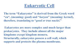 Difference between Prokaryotic and Eukaryotic Cells Video No 518 [upl. by Anyehs]