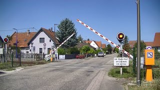 Spoorwegovergang RountzenheimAuenheim F  Railroad crossing  Passage à niveau [upl. by Alethia992]