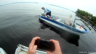 Baskatong Reservoir Walleye Slaughter [upl. by Valentino76]