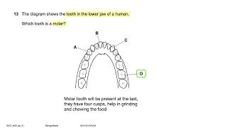 061021ON23  0610w23qp21  2023OctoberNovember IGCSE Biology MCQ Past Paper solving [upl. by Imef]