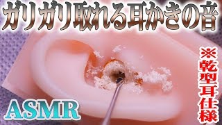 【ASMR】ゴッソリ取れるリアルなガリガリ耳かき♡“乾型耳仕様”ステンレス耳かきで深く鼓膜まで耳掃除の音♪両耳同時【音好き】DIYのシリコン疑似耳バイノーラルマイクを使用（左右回転あり〼） [upl. by Nyrraf366]