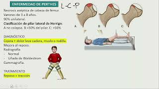 Osteocondrosis enf de perthes epifisiolisis femoral luxacion [upl. by Amie708]