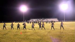 twiggs County Marching Cobras Homecoming Oct 8 part 2 [upl. by Volkan790]