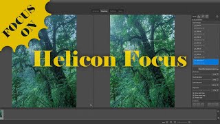 Helicon Focus Stacking Workflow with Exposure Blending  Focus On Series [upl. by Litnahs]