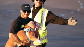 Lewis Hamilton Carries His Bulldog from helicopter After Winning British Grand Prix [upl. by Gnoz]