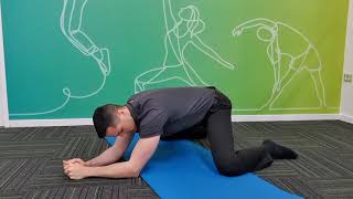 Adductor Stretch [upl. by Vicki]