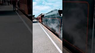 The Duke of Edinburgh engine 621 and the Cockle Train in Goolwa trains steamtrain [upl. by Chenee]