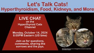 Lets Talk Cats Hyperthyroidism Food Kidneys and More [upl. by Bred]