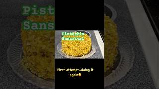 Made it once and I am doing it again pistachiosansrival pistachio pistachios pistachiocake [upl. by Evvie]