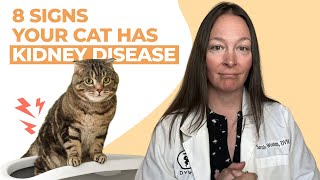 8 Signs Your Cat Has Kidney Disease [upl. by Akinnej]