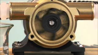 How a Jabsco Flexible Impeller Pump Works [upl. by Ytineres663]