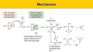 SN1 Reaction Experiment Synthesis of tertButyl Chloride Part 1 Prelab Lecture [upl. by Temp547]