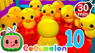 Count the Ten Little Duckies  CoComelon Animal Time  Learning with Animals [upl. by Wes718]