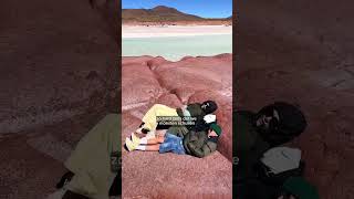 We deden een begeleide tour naar de hoogtemeren van Atacama [upl. by Ttiwed399]