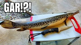 Catch and Cook GAR Very Suprising [upl. by Eneryc]