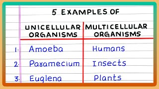 EXAMPLES OF UNICELLULAR AND MULTICELLULAR ORGANISMS [upl. by Milt]