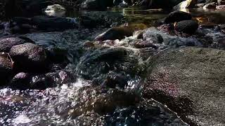 tap water sound effect walking in water sound effect flowing water sound effect [upl. by Ijar459]