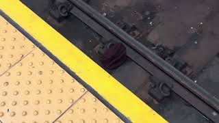 a video of a hat on nyc subway tracks [upl. by Nynnahs]