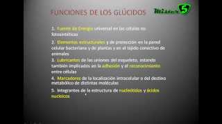 LOS GLUCIDOS carbohidratos hidratos de carbono o sacáridos Tipos y Funciones Mistercinco [upl. by Etiuqram]