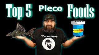 My Top 5 Favorite Pleco Foods [upl. by Ahtiuqal333]