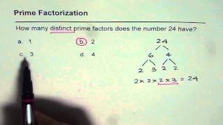 01 Distinct Prime Factors for 24 [upl. by Dnaloy]