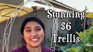 How to Make Stunning 6 DIY Garden Trellises for Climbing Plants [upl. by Nadnarb]