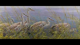 Master Wildlife Artist Robert Bateman on quotYoung Sandhill Cranesquot [upl. by Lucina]