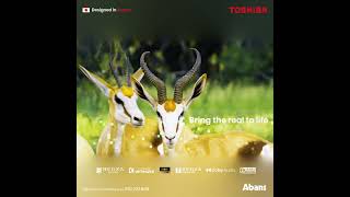 Discover a new level of entertainment with Toshiba [upl. by Giliana]