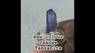 A cool example of a raw gemmy colour change Tanzanite [upl. by Barger]