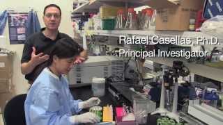 Genome Modification Provides Hope for Gene Therapy  Rafael Casellas NIH Scientist [upl. by Akenihs]