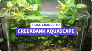 Huge Changes to Creekbank Aquascape its now a Riparium aquarium fish aquascape [upl. by Fortunato751]