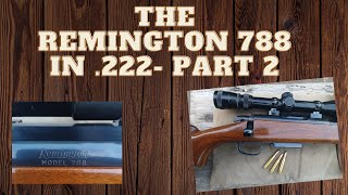 My Remington 788 Caliber 222 part 2 [upl. by Raclima]