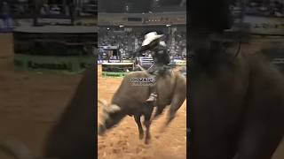 Joe Rogan Reacts to the Greatest Rodeo [upl. by Gnuhp]