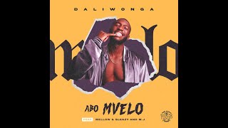 Daliwonga  Abo Mvelo LYRICS ft Mellow amp Sleazy MJ [upl. by Mitzie]