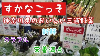 色鮮やかなカラフル野菜 すかなごっそ 新鮮 三浦野菜 三浦 神奈川県 おすすめスポット vlog ソレイユの丘 観光 葉山牛 苺 三浦大根 子ども3人 ママブログ 休日のママの楽しみ [upl. by Lucas]