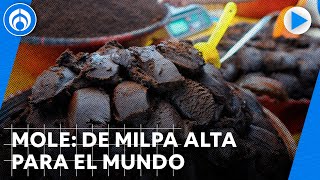 San Pedro Atocpan la tierra del mole y de la última molendera de CDMX [upl. by Ehav823]