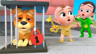 Bingo Babys First Pet  More Lalafun Nursery Rhymes and Kids Songs [upl. by Amahs]