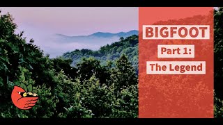 Bigfoot Part 1 The Legend [upl. by Aitekram]