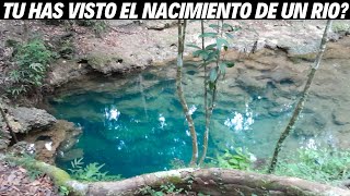 Cómo nace un río  Nacimiento de un río en Republica Dominicana [upl. by Anialeh]