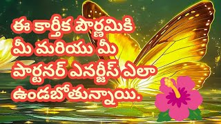 💯❤️ఈ కార్తీక పౌర్ణమికి మీ మరియు మీ పార్టనర్ ఎనర్జీస్ ఎలా వున్నాయితెలుసుకోండి [upl. by Avevoneg]