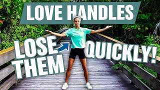 Standing LOVE HANDLES Workout  BURN Fat Easily At Home [upl. by Charmaine25]