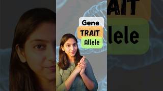 Gene Trait and Allele  Class 12  shorts neet ytshorts [upl. by Renrut]