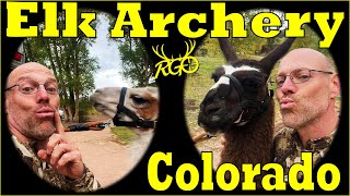 Colorado Elk Archery 2024  The Rest of the Story  RGO 456 [upl. by Ado808]